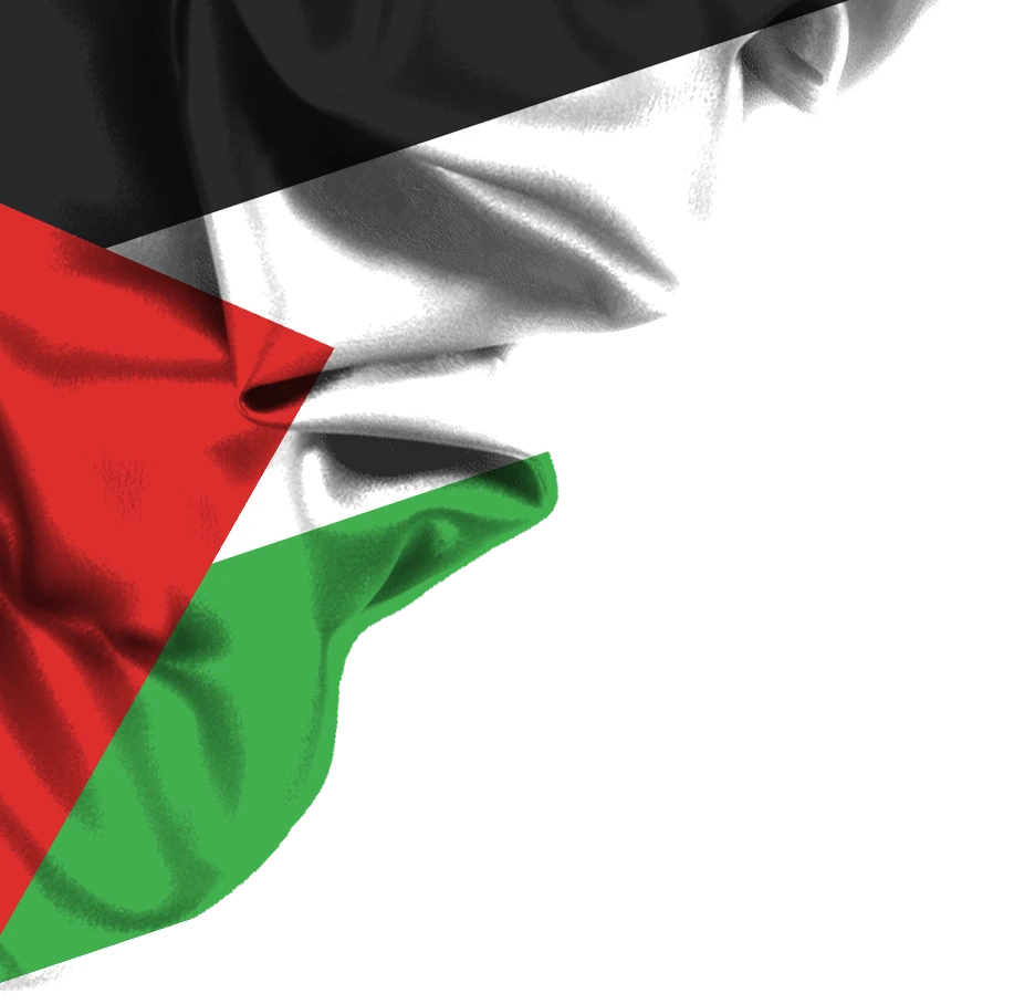 gaza-stripe-1.webp